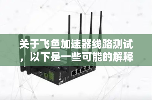 关于飞鱼加速器线路测试,以下是一些可能的解释和建议