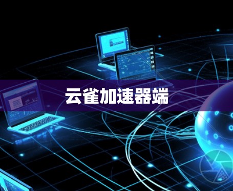 云雀加速器端 云雀加速器端