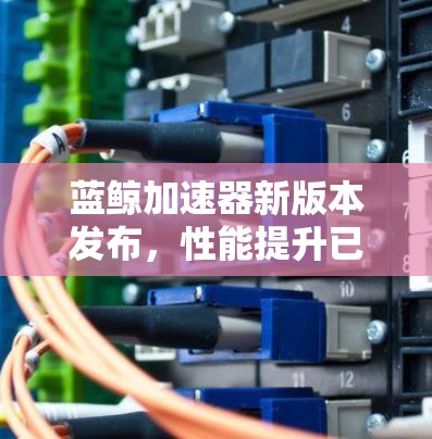蓝鲸加速器新版本发布,性能提升已见成效 蓝鲸加速器新版本发布,性能提升已见成效