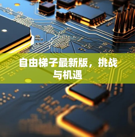 自由梯子最新版，挑战与机遇