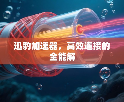 迅豹加速器，高效连接的全能解