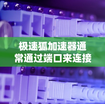 极速狐加速器通常通过端口来连接到外网，因此，确保正确配置端口和登录方式是关键。以下是一些步骤，帮助您在极速狐加速器中连接到外网