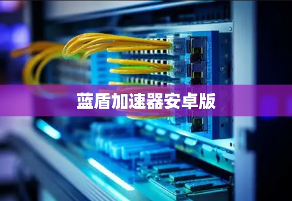 蓝盾加速器安卓版
