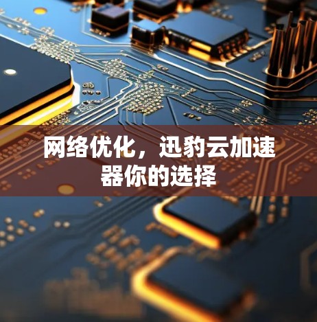 网络优化，迅豹云加速器你的选择