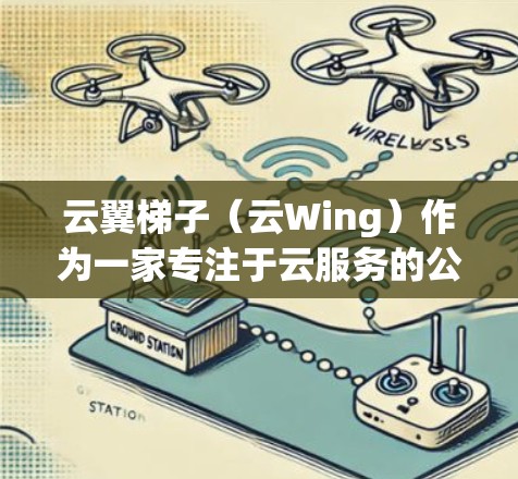 云翼梯子（云Wing）作为一家专注于云服务的公司，其海外访问情况可以从以下几个方面进行分析