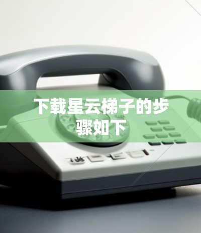 下载星云梯子的步骤如下