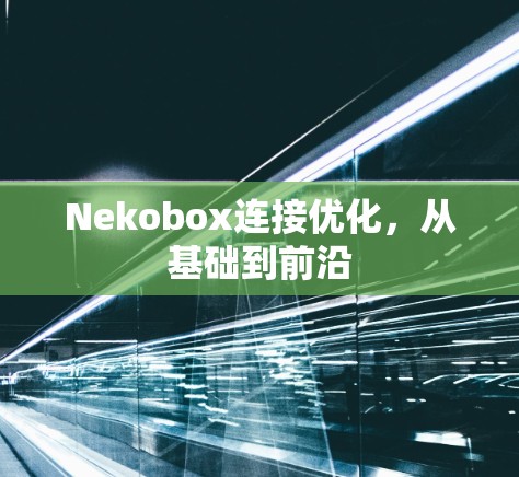 Nekobox连接优化,从基础到前沿 Nekobox连接优化,从基础到前沿