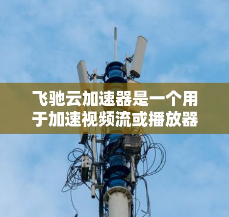 飞驰云加速器是一个用于加速视频流或播放器的工具，通常用于提升视频播放速度。以下是逐步的使用指南和安全注意事项
