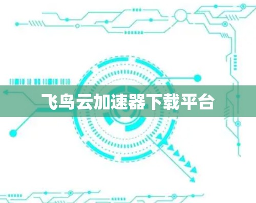 飞鸟云加速器下载平台 飞鸟云加速器下载平台