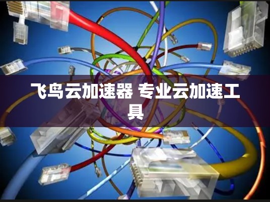 飞鸟云加速器 专业云加速工具