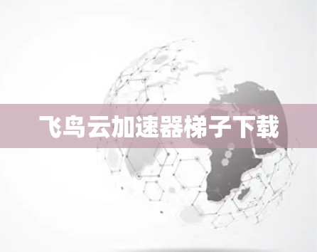 飞鸟云加速器梯子下载