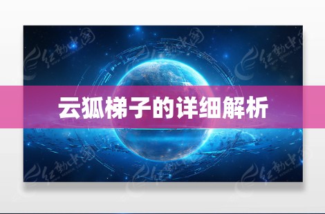 云狐梯子的详细解析