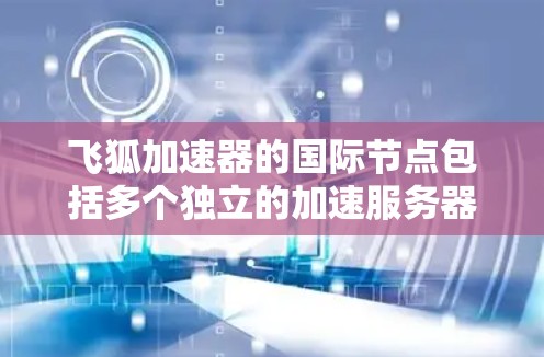 飞狐加速器的国际节点包括多个独立的加速服务器，这些节点通常由飞狐公司提供，旨在为用户提供加速服务。以下是关于飞狐加速器国际节点的详细分析
