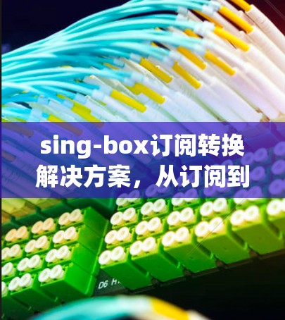 sing-box订阅转换解决方案,从订阅到广告的高效转化策略 sing-box订阅转换解决方案,从订阅到广告的高效转化策略