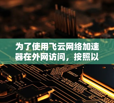 为了使用飞云网络加速器在外网访问，按照以下步骤操作