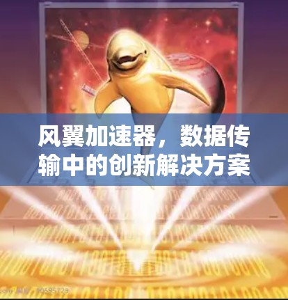 风翼加速器，数据传输中的创新解决方案