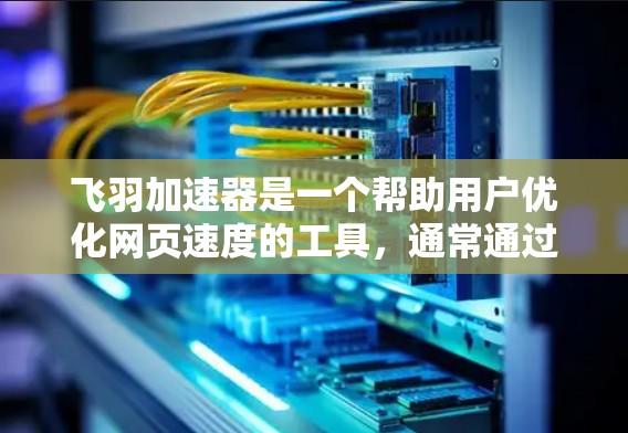 飞羽加速器是一个帮助用户优化网页速度的工具,通常通过软件实现。以下是下载和使用飞羽加速器的步骤