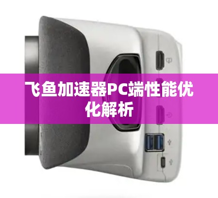 飞鱼加速器PC端性能优化解析