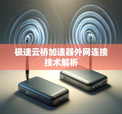 极速云桥加速器外网连接技术解析 极速云桥加速器外网连接技术解析