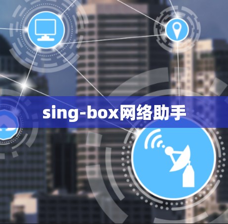 sing-box网络助手