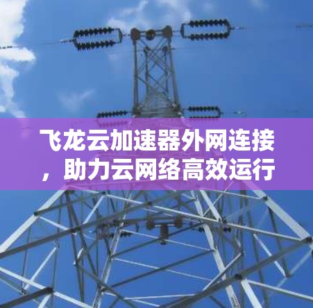 飞龙云加速器外网连接,助力云网络高效运行 飞龙云加速器外网连接,助力云网络高效运行