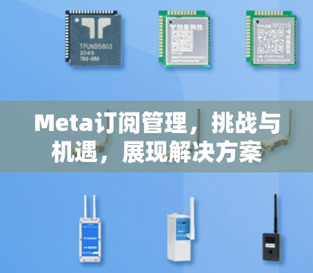 Meta订阅管理,挑战与机遇,展现解决方案 Meta订阅管理,挑战与机遇,展现解决方案