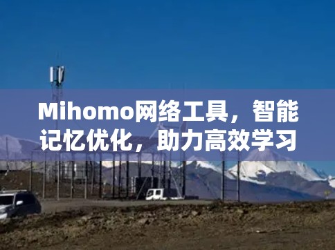 Mihomo网络工具，智能记忆优化，助力高效学习与工作