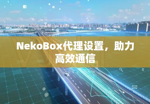 NekoBox代理设置,助力高效通信 NekoBox代理设置,助力高效通信