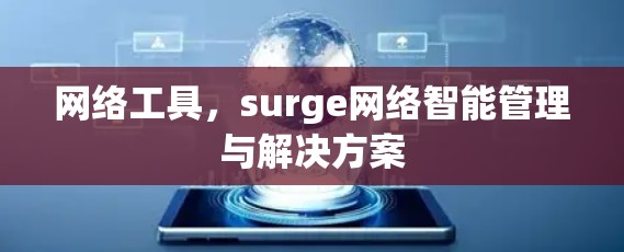 网络工具,surge网络智能管理与解决方案 网络工具,surge网络智能管理与解决方案