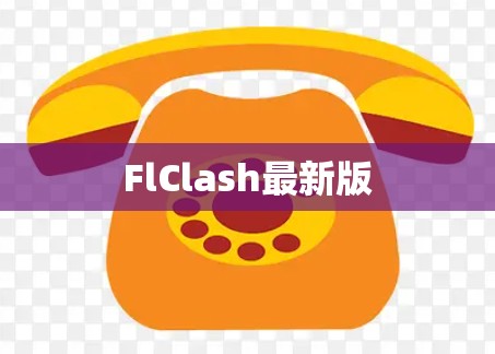 FlClash最新版 FlClash最新版