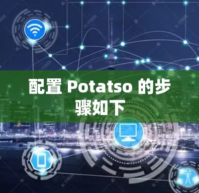配置 Potatso 的步骤如下