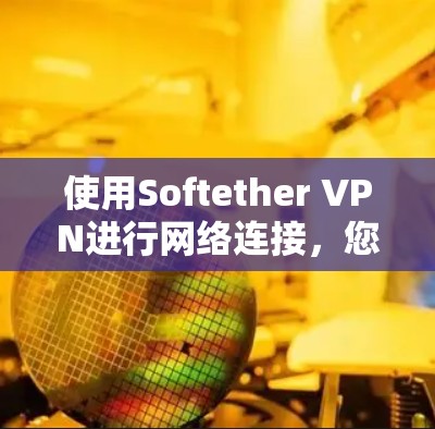 使用Softether VPN进行网络连接，您可以按照以下步骤操作