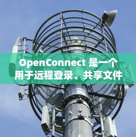 OpenConnect 是一个用于远程登录、共享文件和管理计算机设备的工具。以下是其使用指南的分步说明