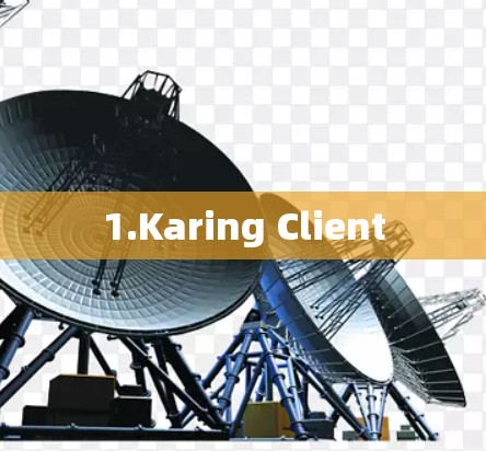 1.Karing Client 1.Karing Client