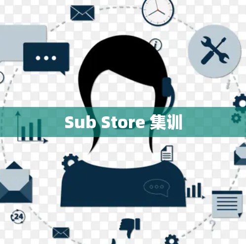 Sub Store 集训 Sub Store 集训