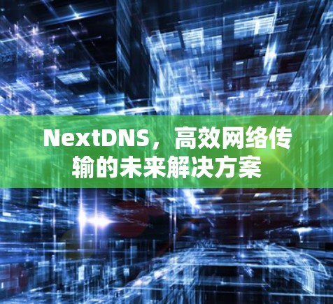 NextDNS,高效网络传输的未来解决方案 NextDNS,高效网络传输的未来解决方案