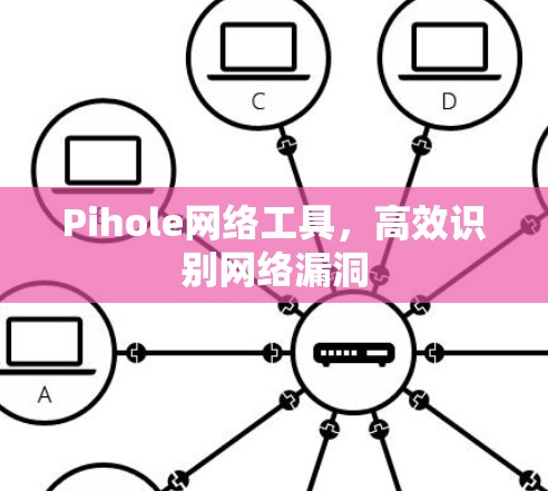 Pihole网络工具，高效识别网络漏洞