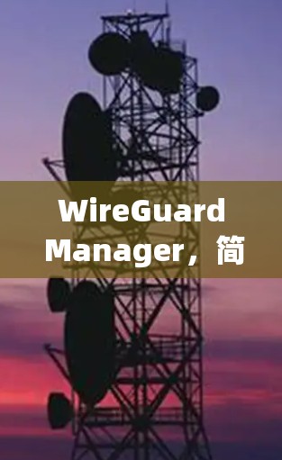 WireGuard Manager，简化网络安全管理的全新解决方案