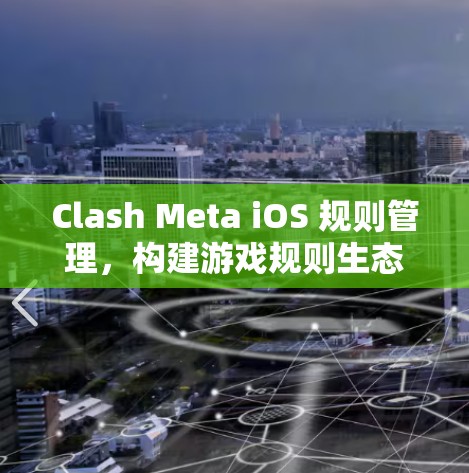 Clash Meta iOS 规则管理,构建游戏规则生态的智能工具