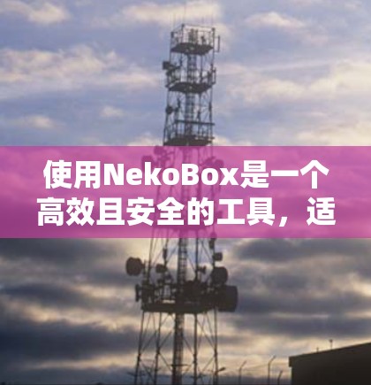 使用NekoBox是一个高效且安全的工具，适合管理设备资源。以下是详细的步骤指南
