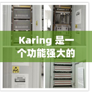 Karing 是一个功能强大的操作系统，允许用户通过命令行或终端进行操作。以下是一个全面的配置指南，涵盖从启动到优化的各个方面