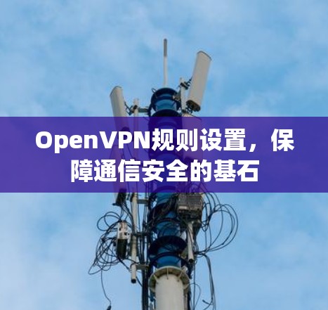 OpenVPN规则设置，保障通信安全的基石