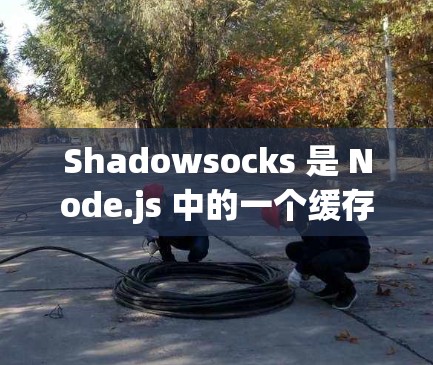 Shadowsocks 是 Node.js 中的一个缓存机制，用于缓存网络请求。它通过将请求解析为树结构来缓存结果，从而避免重复请求导致的性能问题