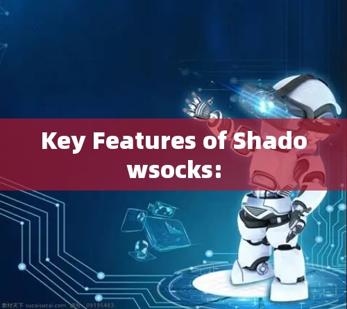 Key Features of Shadowsocks: