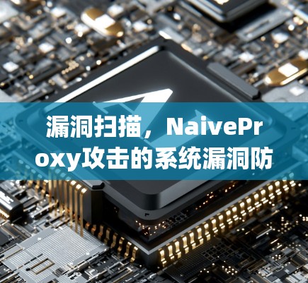 漏洞扫描，NaiveProxy攻击的系统漏洞防御