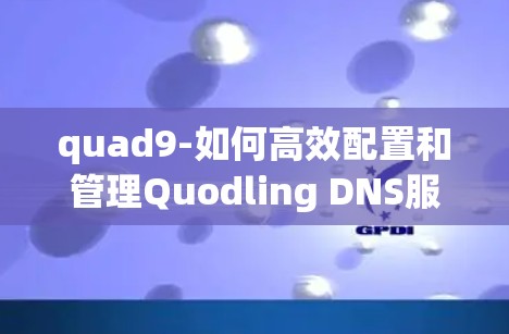 quad9-如何高效配置和管理Quodling DNS服务器