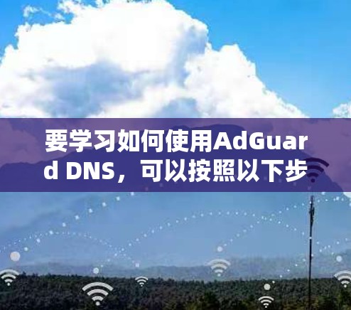 要学习如何使用AdGuard DNS,可以按照以下步骤进行