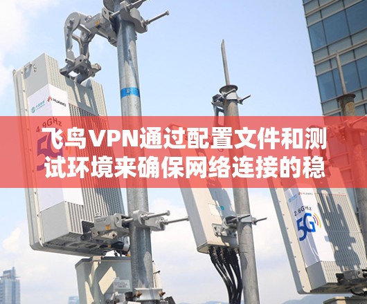 飞鸟VPN通过配置文件和测试环境来确保网络连接的稳定性和安全性。以下是详细的步骤和注意事项