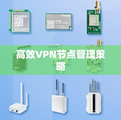 高效VPN节点管理策略