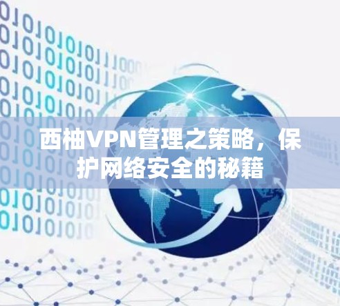 西柚VPN管理之策略,保护网络安全的秘籍